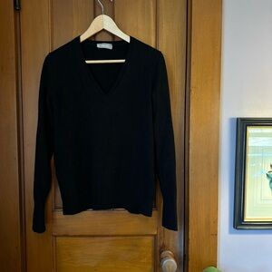 100% cashmere Everlane v-neck sweater